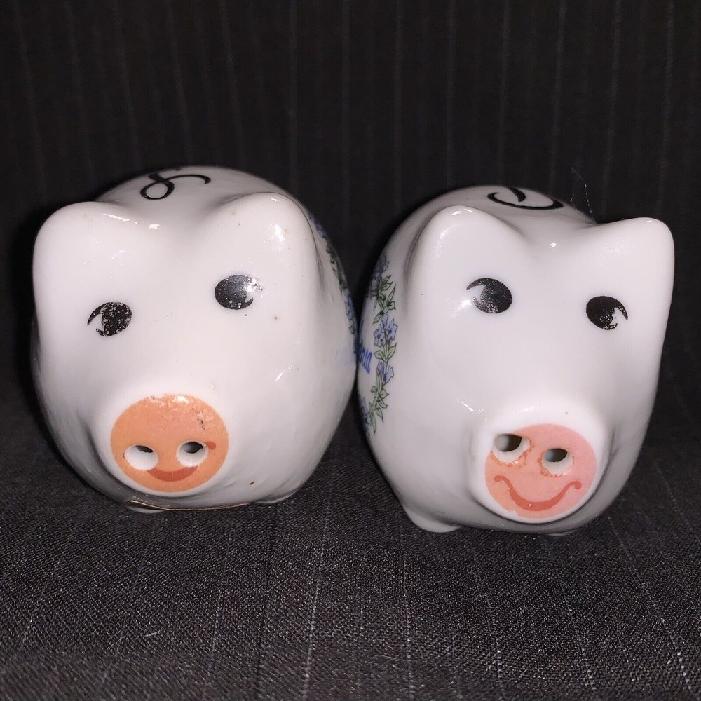 Vintage Retro California Souvenir￼ Pigs Piggy Salt and Pepper Shakers Taiwan